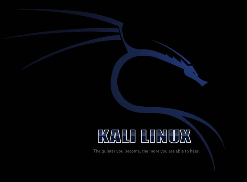 kali linux commands