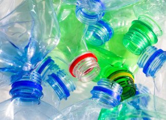 Newly discovered plastic-eating bacteria could save our planet discovered plastic-eating bacteria