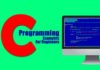 C Programming Examples for Beginner
