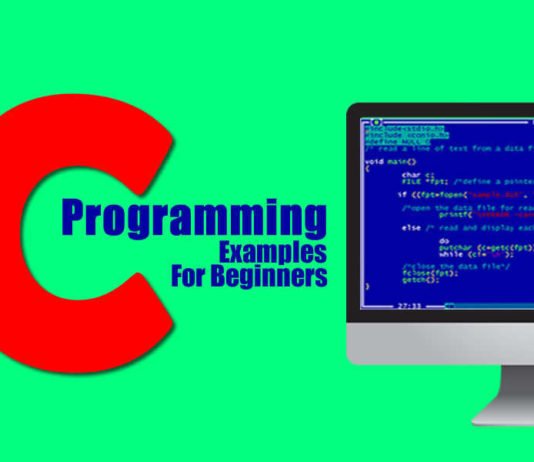 C Programming Examples for Beginner C Programming Examples for Beginner