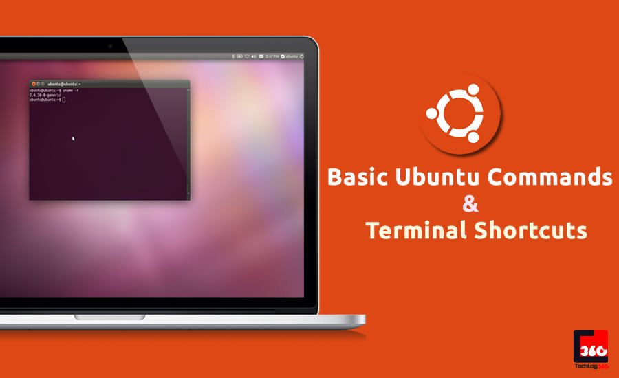 Терминал Ubuntu. Ubuntu shortcuts. Terminal shortcut. Basic Linux. Basic terms