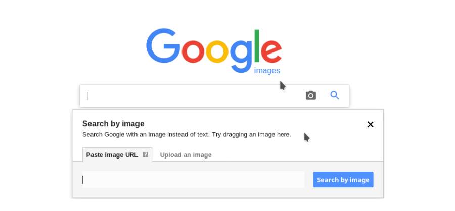 Google reverse image search