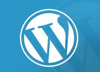 WordPress Plugins That Will Speed Up Your Site WordPress Plugins Conflicts