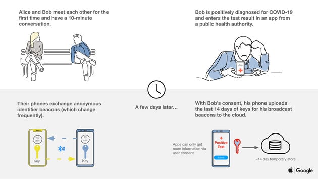 how Google and Apple show contact tracing works
