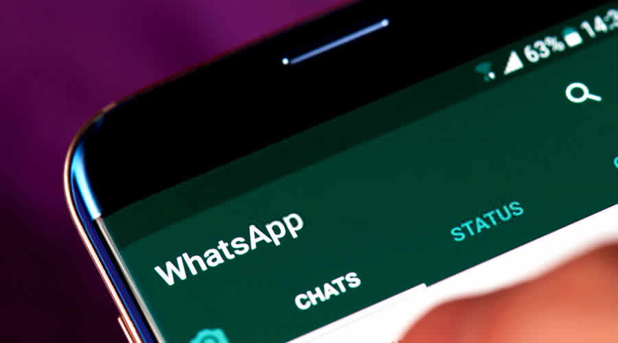 whatsapp news video download