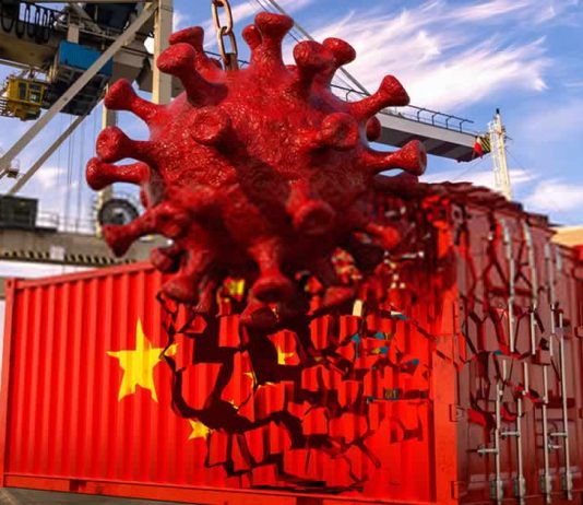 Chinese Supply Chain Chinese Supply Chain