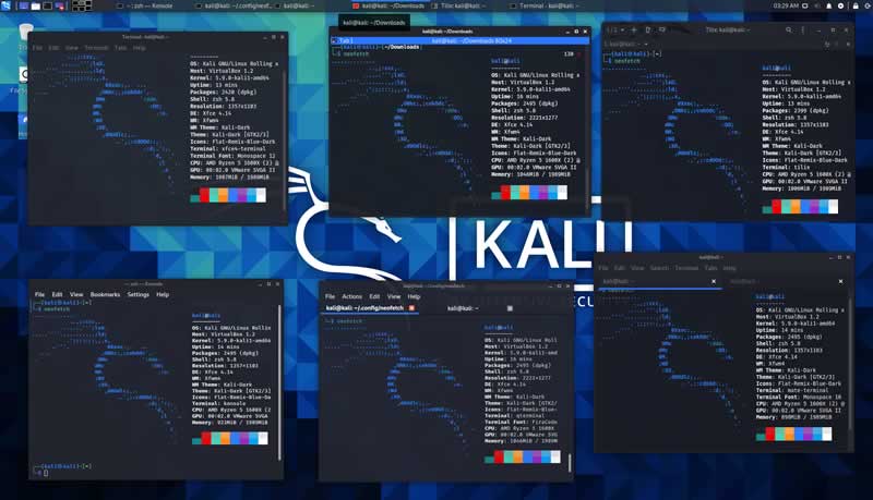 Kali Linux 2021.1 Terminals Tweaks