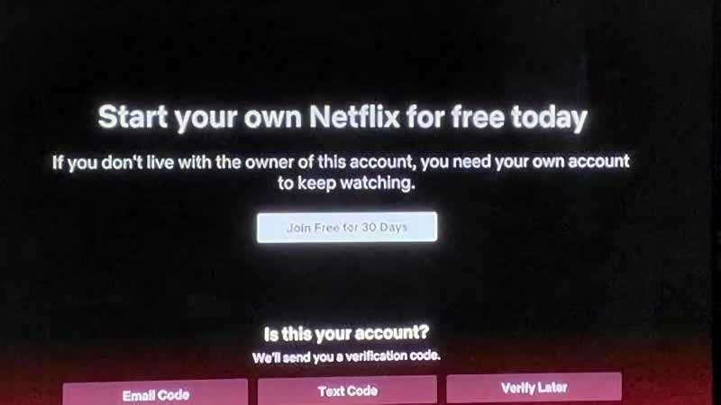 Netflix password verification