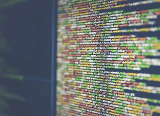 Much Desired Software that Organizations Prefer: Open or Closed Source? Open or Closed Source