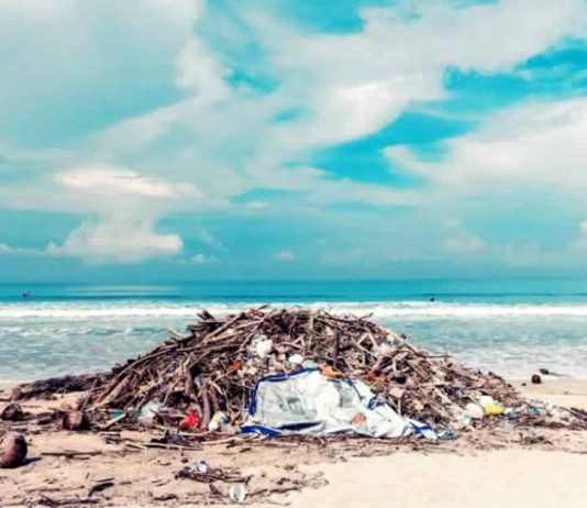 Technology and water pollution Technology and water pollution