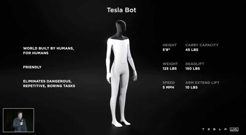 Tesla Bot 1