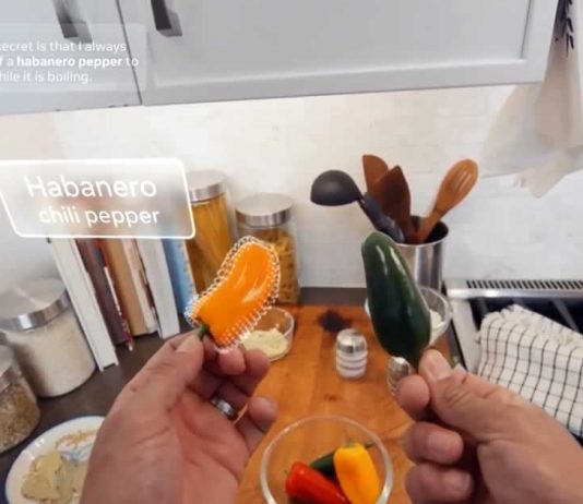 Ego4D Facebook AI project Ego4D Facebook AI project
