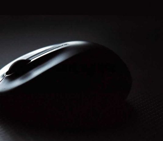 Computer mouse model Computer mouse model