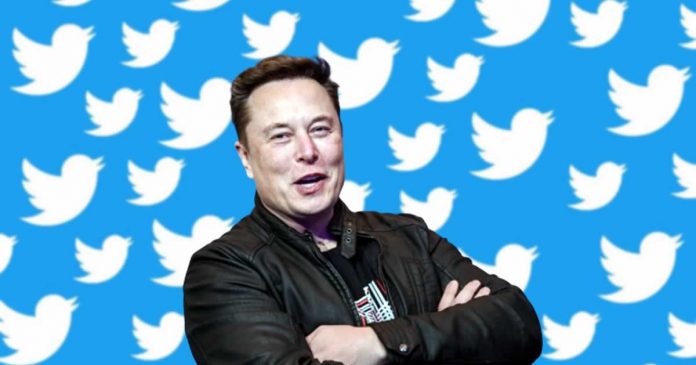 Elon Musk Becomes Twitter Largest Shareholder