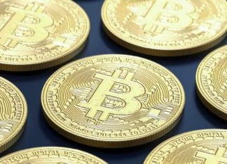 Exploring Alternative Cryptocurrencies in the Casino World bitcoin nft crypto