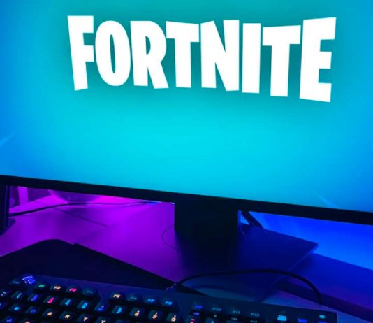 Fortnite game details Fortnite game details