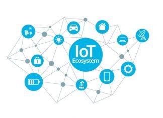 Considerations for a Career in IoT Development IoT ecosystem