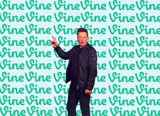 Musk Planning to Bring Back the Original Short Videos Creator, Vine Musk Planning to Bring Back Vine