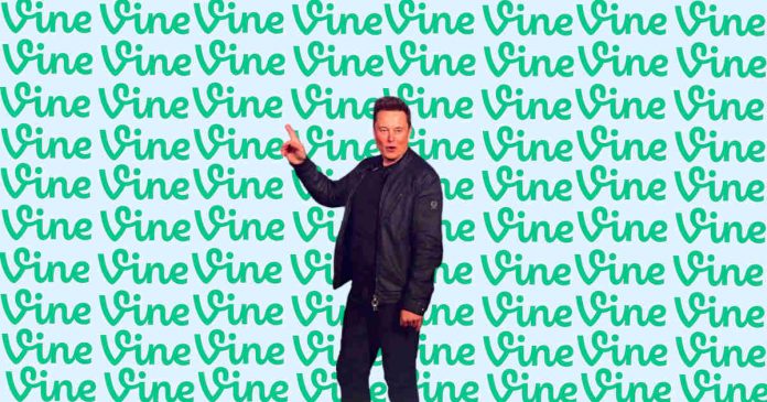Musk Planning to Bring Back Vine