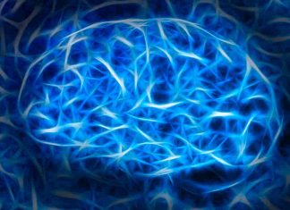 AI Service QuickVid Automatically Creates Short Videos New System That Works Like Brain