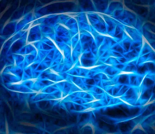 New System That Works Like Brain New System That Works Like Brain
