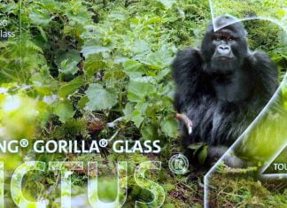 Corning Announces Gorilla Glass Victus 2 Corning Gorilla Glass Victus 2
