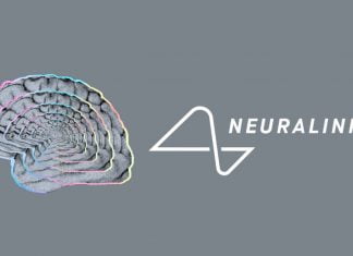 Elon Musk Revealed That In Six Months Neuralink Will Begin Testing Chips On Humans Neuralink Human Trials