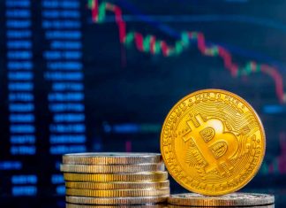 Crypto Cowboys: Blending Blockchain With Luxury Lifestyles & Equestrian Sports Crypto investment
