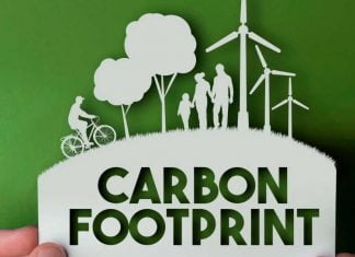 3 Easy Ways to Reduce Your Carbon Footprint at Work Carbon Footprint at Work