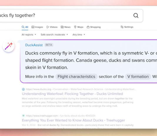 DuckDuckGo DuckAssist DuckDuckGo DuckAssist