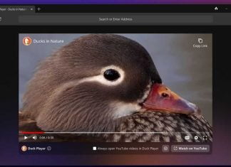 Secure Browsing Redefined with DuckDuckGo Browser for Windows DuckDuckGo Browser for Windows