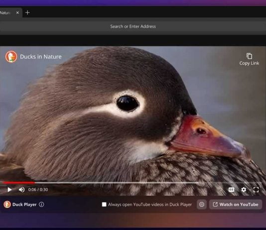 DuckDuckGo Browser for Windows