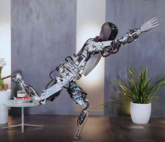 Optimus Can Do Yoga Optimus Can Do Yoga
