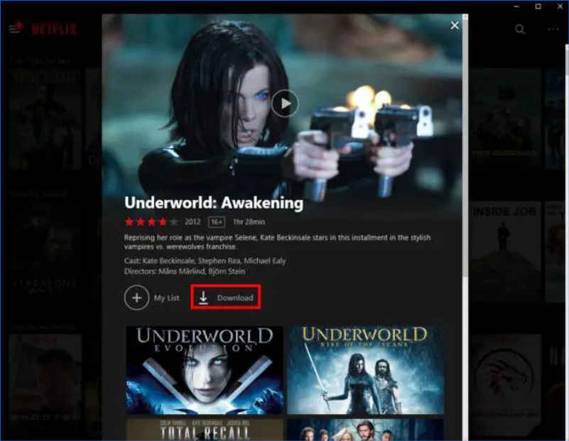 Windows Netflix Video Download