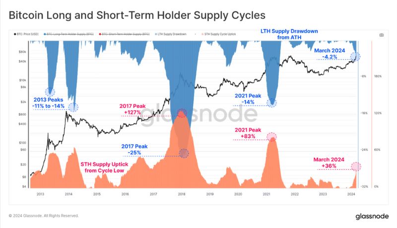 Bitcoin long and short term holders
