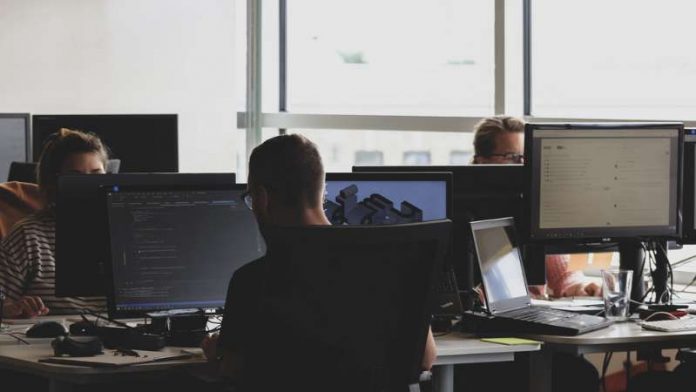 People doing office works